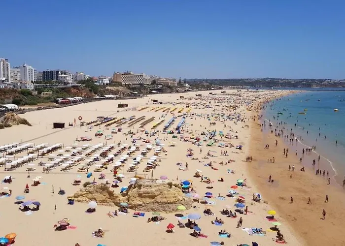 Rocha Prime Center Garage Flat Daire